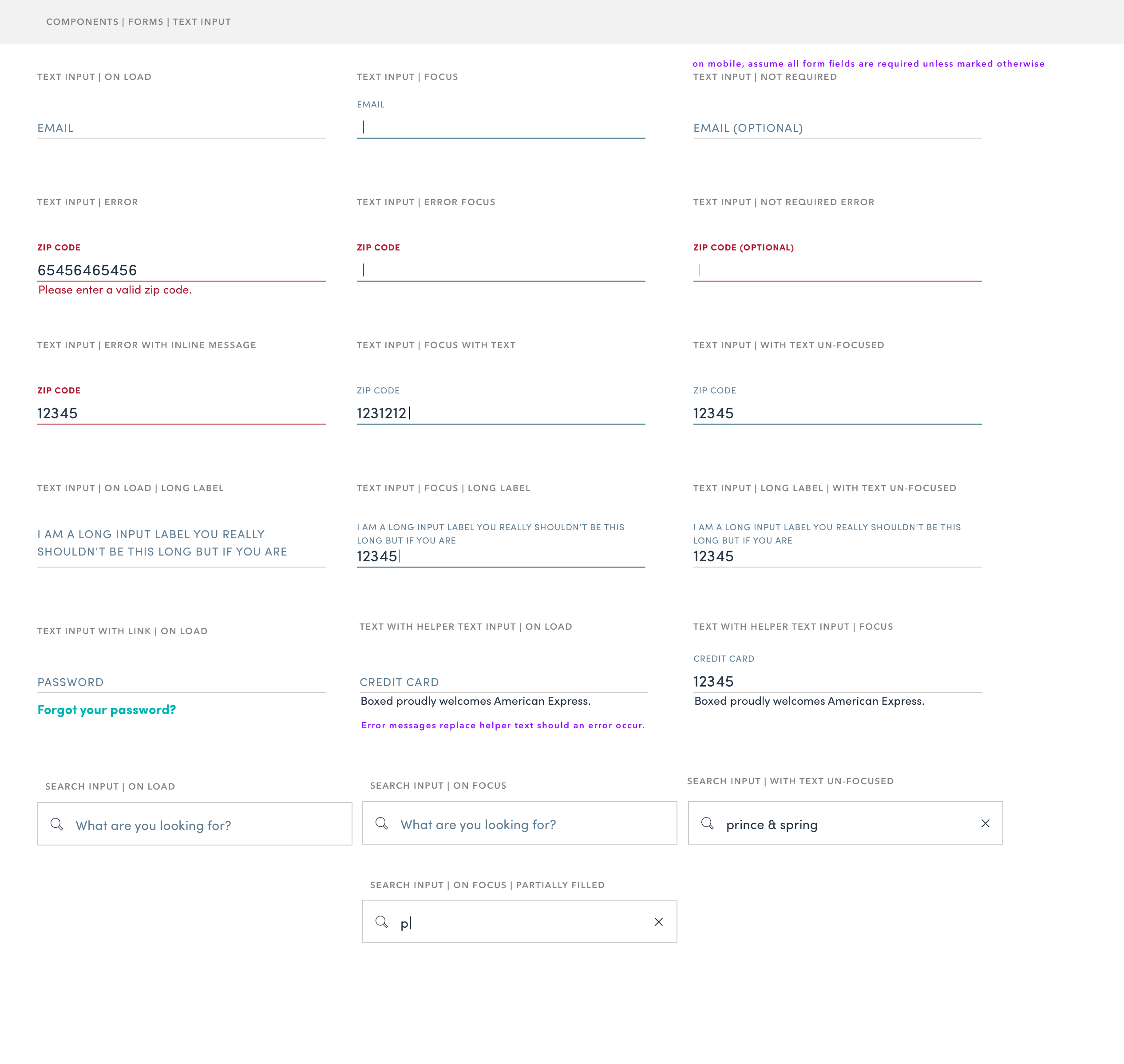 Components | Forms | Text Input@2x